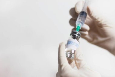 Model ile aşılama süreci.