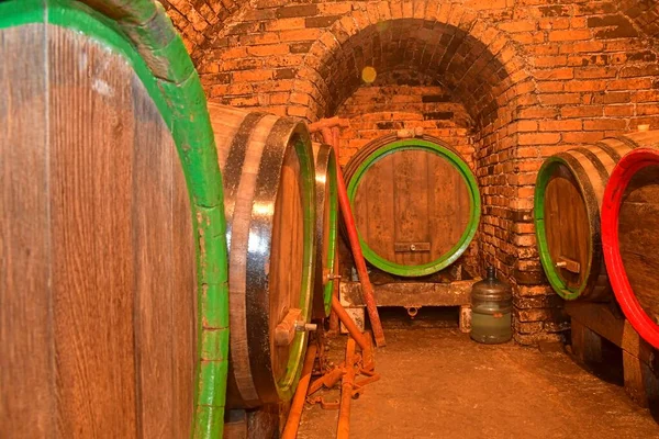 Boroshordók egy pincében. Egy hordó bor egy borospincében, egy ősi borospince boltozott téglafedéllel. Hagyományos borkészítés — Stock Fotó