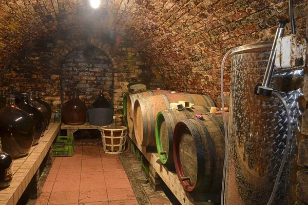 Vintage demijohns in a traditional wine cellar. Demijohn wine bottles and wooden wine barrels — Stock Photo, Image