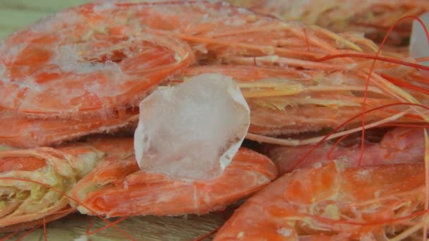 在木制的白色背景上的小虾。用调味品和冰块压碎的对虾 — 图库视频影像