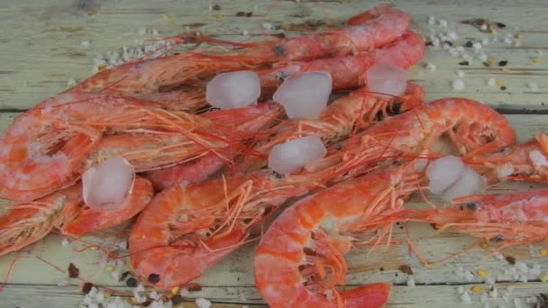 Vařené krevety, krevety s kořením na bílém dřevěném pozadí. Zmrazené krevety s kořením a rozdrceným ledem — Stock video