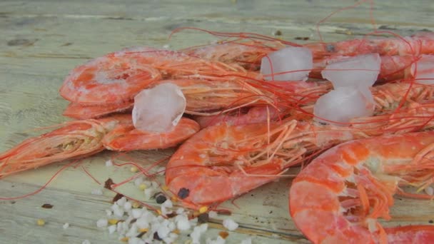 Camarones sobre fondo blanco de madera. Langostinos con condimentos y hielo picado — Vídeos de Stock