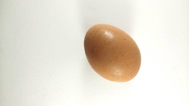 Beyaz arka planda izole edilmiş 1 tavuk yumurtası