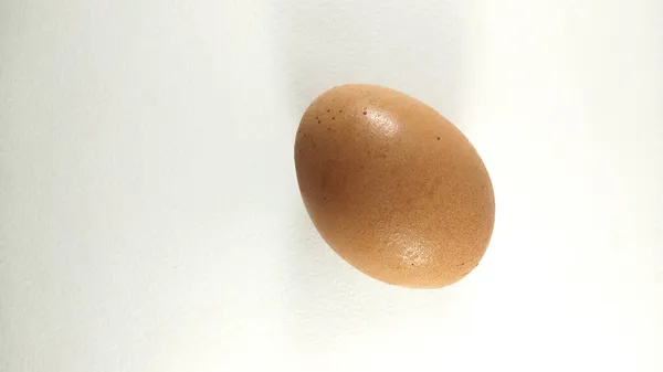 Beyaz arka planda izole edilmiş 1 tavuk yumurtası