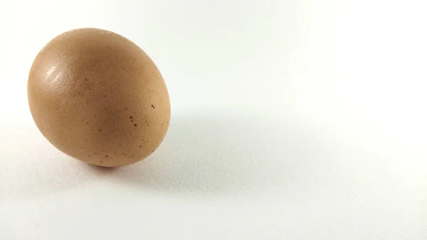 Beyaz arka plana yerleştirilmiş 1 tavuk yumurtası