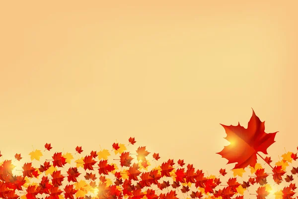 Autumn Background Realistic Leaves — Stockfoto