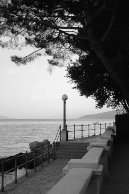 Ağacın altında merdiven ve fenerle deniz kıyısındaki yürüyüş yolunu izleyin. Hırvat manzarası