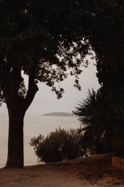 Hırvat dağlarına tepeden bakan ağaç siluetleri