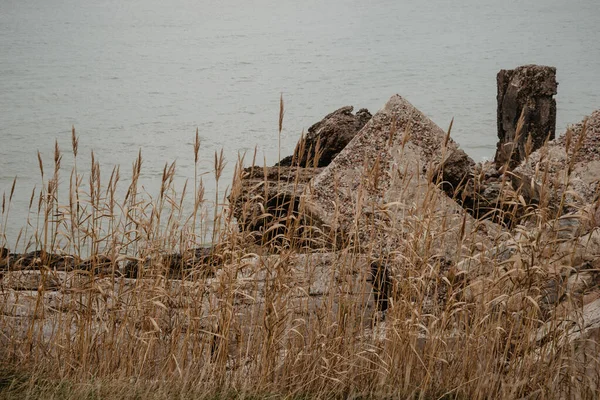 Costruzione Bunker Calcestruzzo Sulle Rive Del Mar Baltico Crollata — Foto Stock