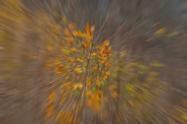 Abstract Achtergrond Wazig Herfst Kleuren Van Natuur — Stockfoto