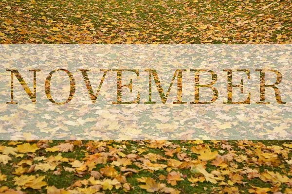 Ноябрь Приветственный Текст Красочном Осеннем Фоне Листьев Слово Ноябрь Красочными — стоковое фото
