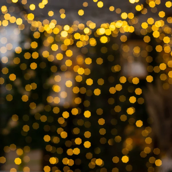 Luzes Multicoloridas Borradas Uma Grinalda Ramos Uma Árvore Natal Primeiro — Fotografia de Stock
