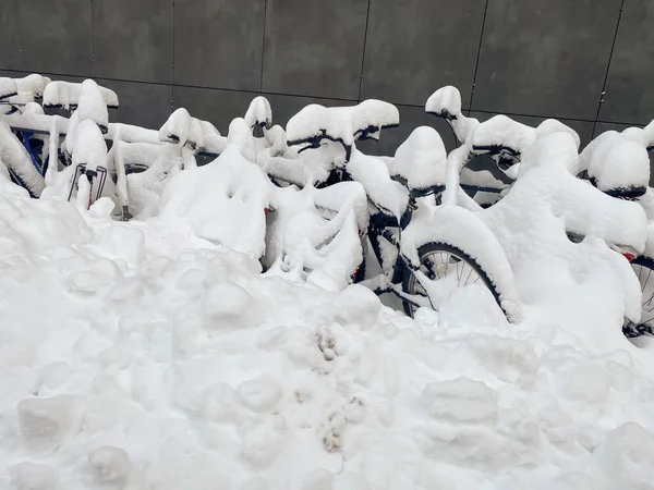 Parkování Kole Silném Sněžení Zasněžené Půjčovny Kol Sněžném Dni Konec — Stock fotografie