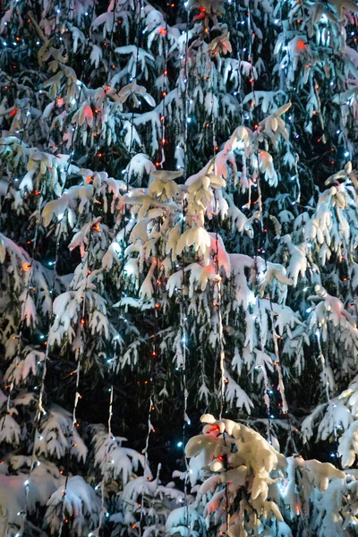 Een Besneeuwde Kerstboom Versierd Met Lichten Nachts — Stockfoto
