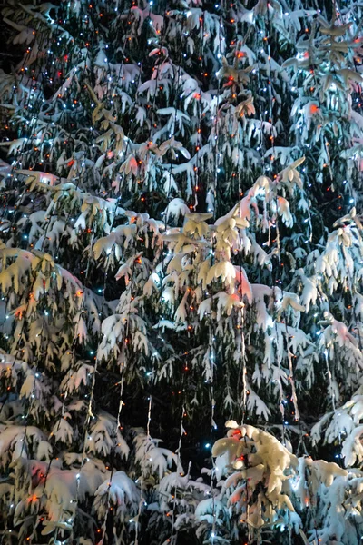 Ein Verschneiter Weihnachtsbaum Der Nachts Mit Lichtern Geschmückt Ist — Stockfoto