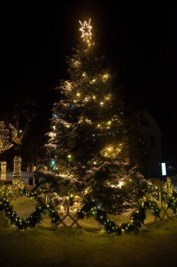 Şehir parkında süslü Noel ağacı, çitlerle çevrili ladin iğneleriyle süslenmiş..