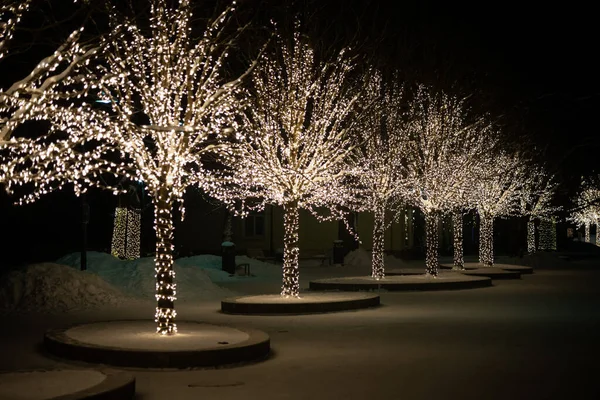 Winter Night Park Lanterns Pavement Trees Covered Lights — Stockfoto