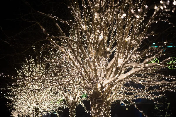 Drzewa Ozdobione Lampkami Świątecznymi Parku Niczym Śnieg Pokryty Śniegiem Dekoracje — Zdjęcie stockowe