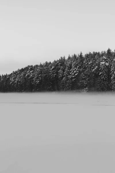 Όμορφο Χειμερινό Τοπίο Φύση Χιόνι Forrest Σκηνή Στο Εξωτερικό Υπόβαθρο — Φωτογραφία Αρχείου