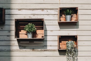 Duvarında çömlek içinde küçük yeşil bitkiler olan klasik bir raf.