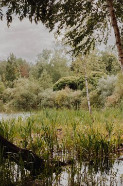 Güneşli yaz gününde mavi göl kıyısında dinlenme kampı. Ağaçlı su gövdesi, karahindiba ve sahilde tekneleri olan yeşil çayır.