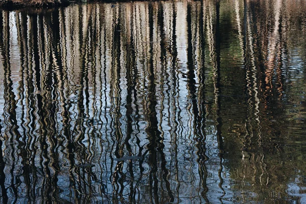 Árvores Refletem Água Azul Lago Com Pequenas Ondas Dia Quente — Fotografia de Stock