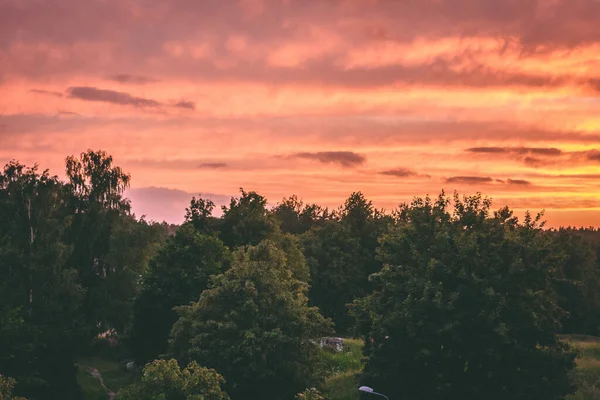 Вечірнє Небо Сонце Сяють Серед Хмар Силует Дерева Передньому Плані — стокове фото
