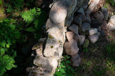 Ormandaki çökmüş taşların iğnelerin içine düştüğü kaya yığınları..