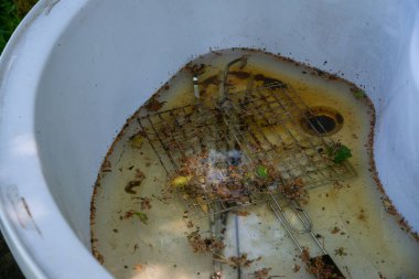 Mangal ızgarası ve şişler banyoda piknik yerine suda, su ağaç yapraklarıyla, iğnelerle dolu..