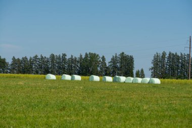 Sulak ruloları tarlanın kenarındaki filme sarılmış. Turnalar tekerleklerin üzerinde uçar.