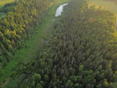 İHA görüntüsü. Kırsal alanın havadan görünüşü ve ormanları ormanlarda yılan nehri..