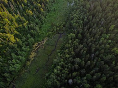 İHA görüntüsü. Kırsal alanın havadan görünüşü ve ormanları ormanlarda yılan nehri..