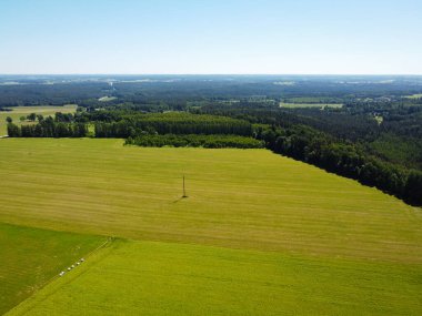 Kırsal bir orman manzarası. Yeşil bir ormanın yanındaki tahıl tarlası..