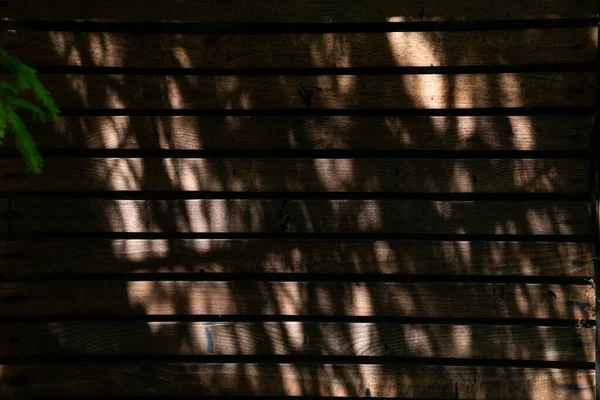 在黑暗的木制篱笆上 阳光透过树枝照射着 美丽的背景 — 图库照片