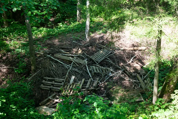 pile of tree branches with wooden pallets in the forest. Dirty nature