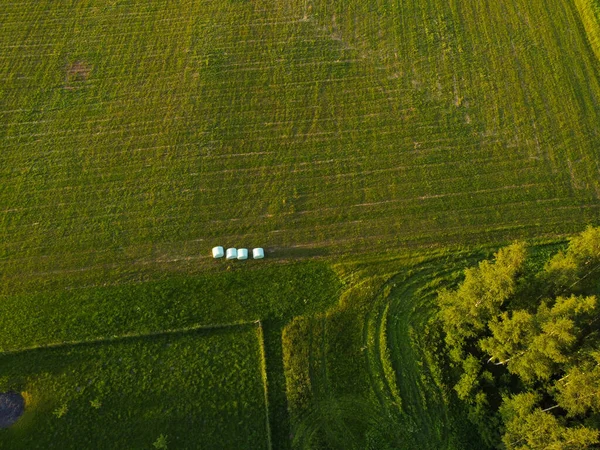 Felder Und Straßen Unter Bewölktem Himmel Drohnen Luftbild Vor Regen — Stockfoto