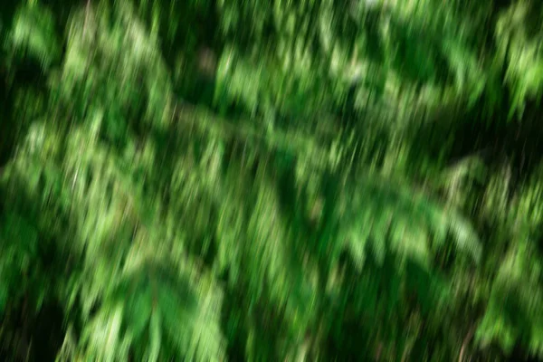 Abstract Motion Blur Spring Summer Green Forest Sunny Texture Background — Stock Photo, Image