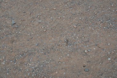 Kirli yere küçük çakıl kaya ile yüzey doku detay.