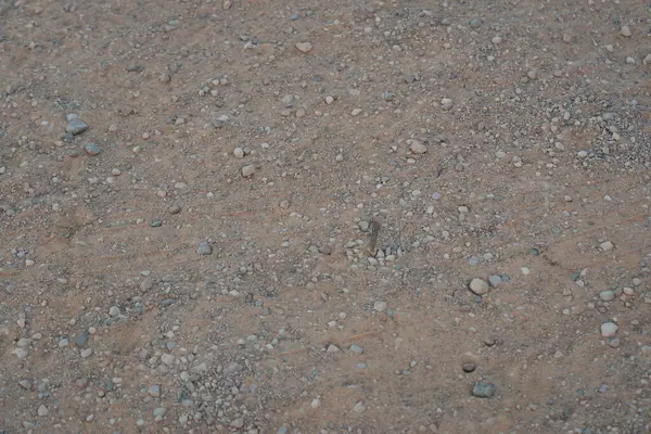 Detail Van Textuur Met Kleine Pebble Rock Vuile Grond — Stockfoto