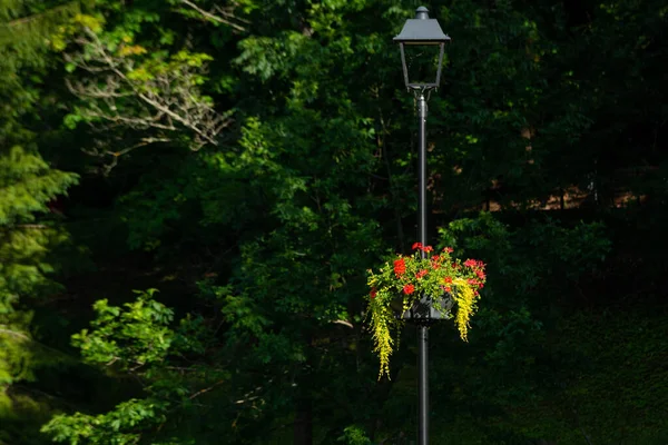 Colorful Flower Pots Hanging Metal Lamp Post — ストック写真