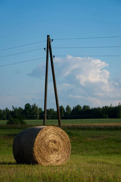 木製の電柱の隣の切りたての畑に干草のロール 夕日の光に輝き — ストック写真