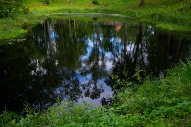 Spring Parkı. Bahar Parkı 'ndaki göl. Bahar manzarası.