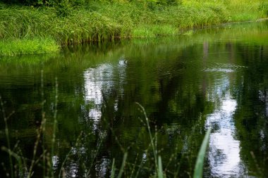 Bahar parkında gölet. Bahar Parkı göleti manzarası. Baharda park göleti. Park göleti
