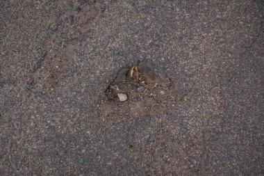 siyah asfalt doku. Asfalt yol. taş asfalt doku arka plan siyah granit çakıl