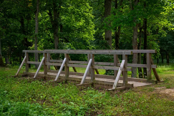 Wooden Bridge Park Tourist Path Green Leaves Trees Summer Leads — 스톡 사진