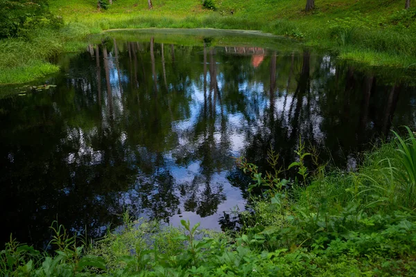 Spring Parkı. Bahar Parkı 'ndaki göl. Bahar manzarası.