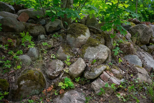 Πέτρες Πράσινο Γρασίδι Κατάφυτες Πράσινα Βρύα Καθαρό Περιβάλλον Στη Φύση — Φωτογραφία Αρχείου