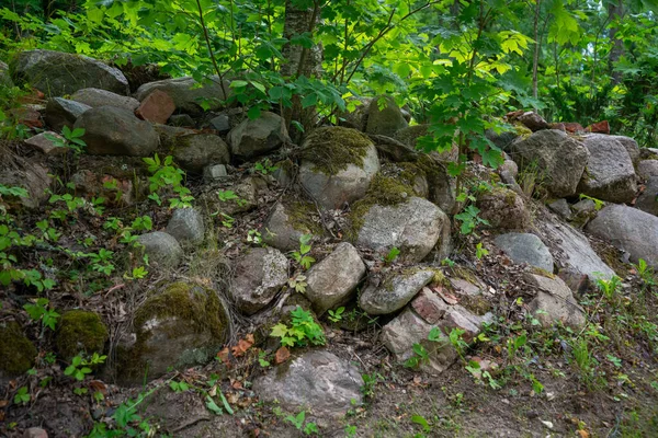 Πέτρες Πράσινο Γρασίδι Κατάφυτες Πράσινα Βρύα Καθαρό Περιβάλλον Στη Φύση — Φωτογραφία Αρχείου