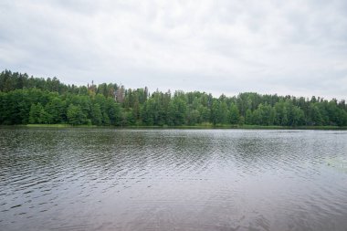 Lakeside mavi su ve ağaçlar uzakta mavi gökyüzü beyaz kabarık bulutlarla