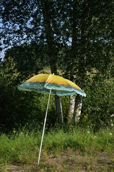 彩色阳伞卡在路边的地面上 — 图库照片